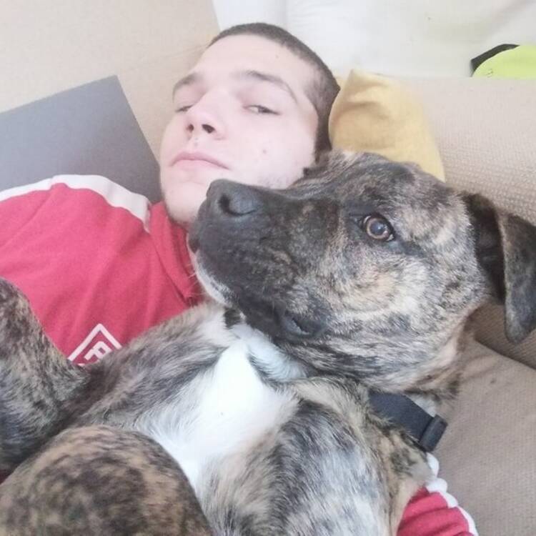 Foto de perfil