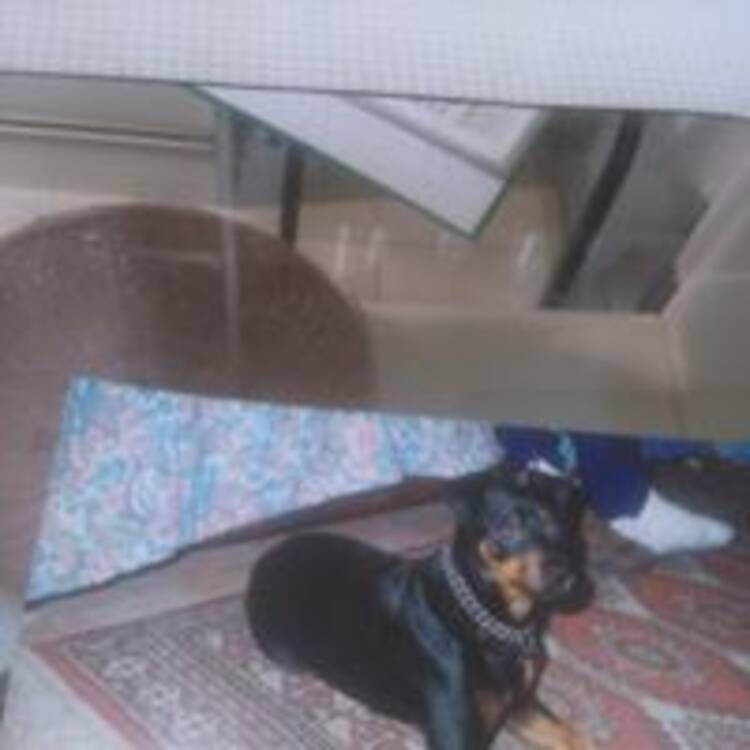 Foto de perfil de Luisi Soler