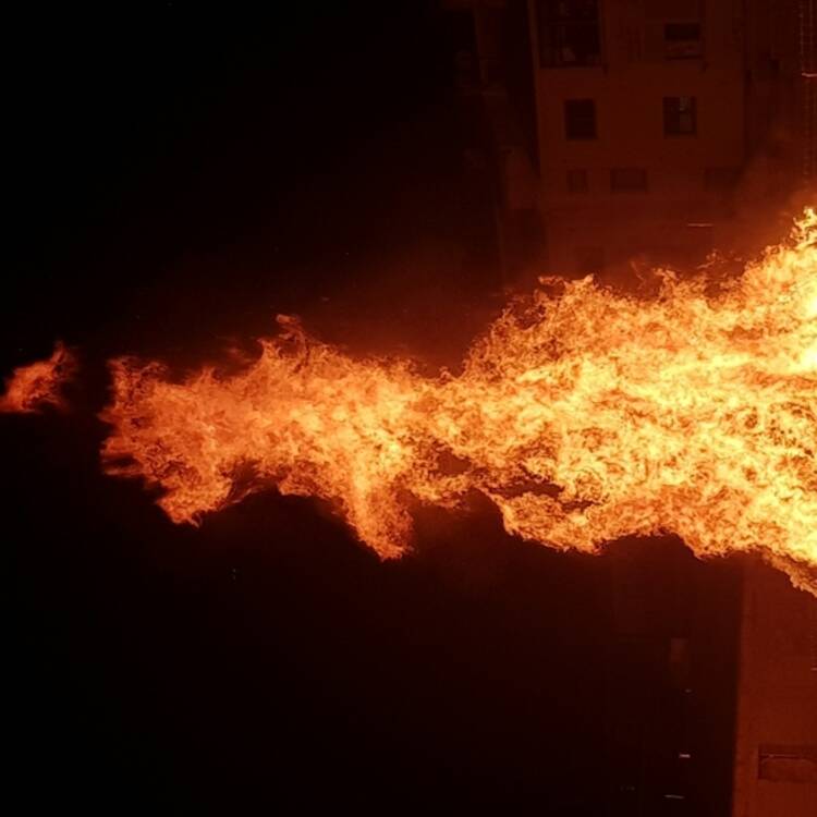 Foto de perfil