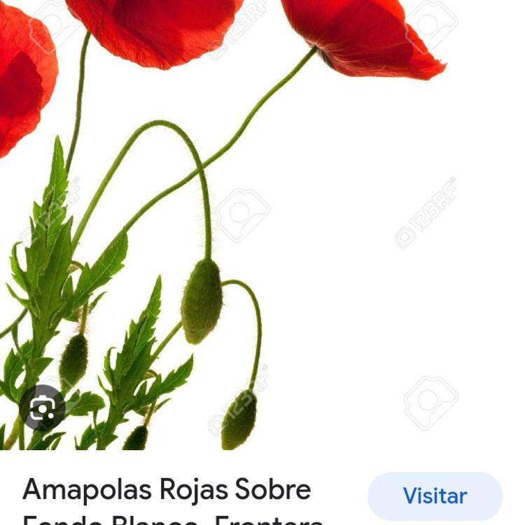 Foto de perfil de Beatriz