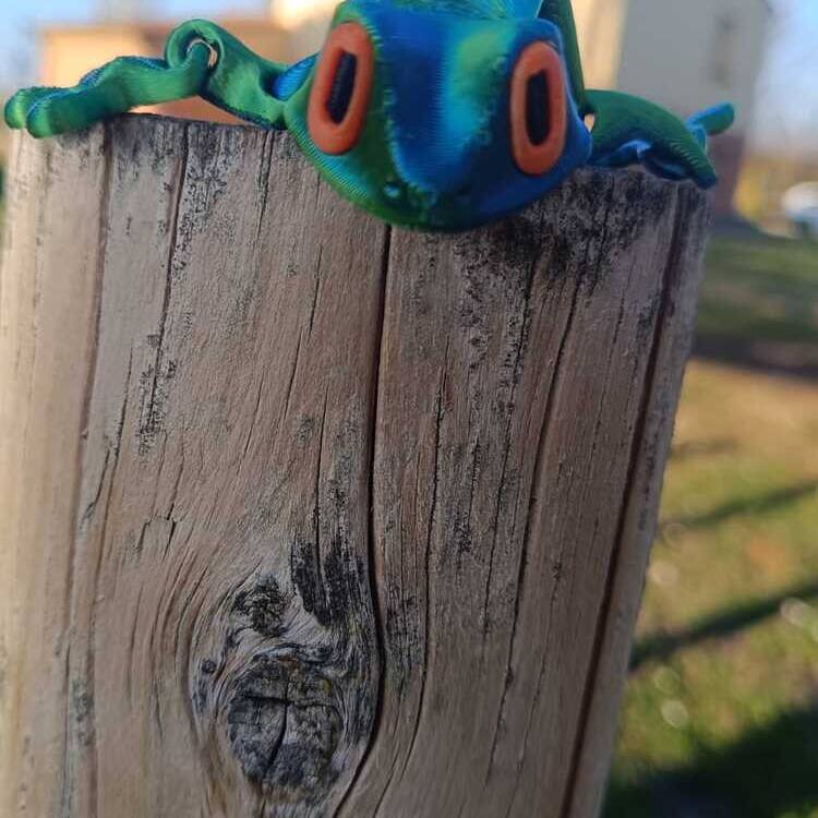 Foto de perfil