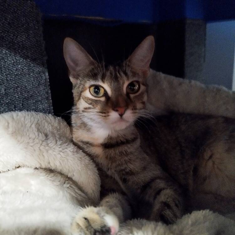 Foto de perfil de Charly