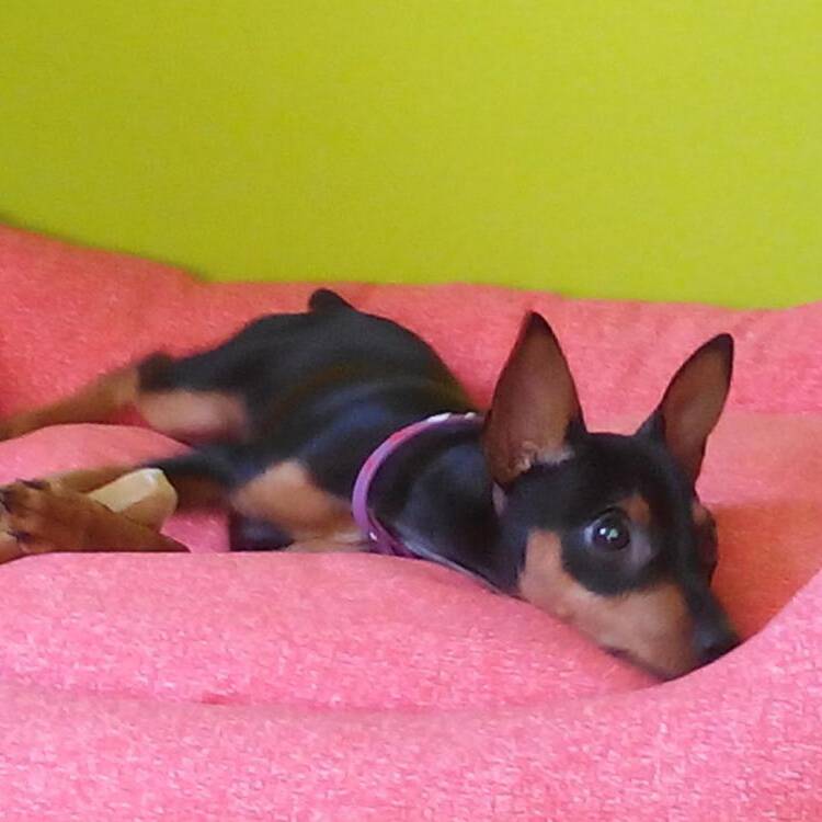 Foto de perfil