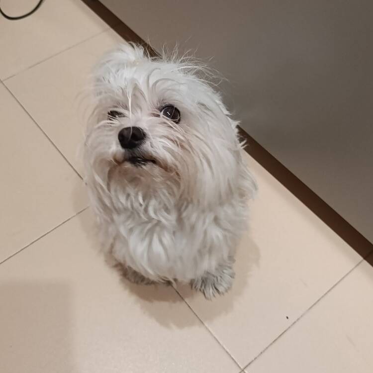 Foto de perfil de Ele