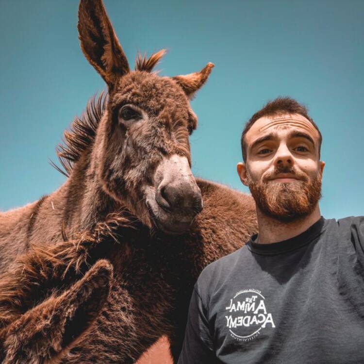 Foto de perfil