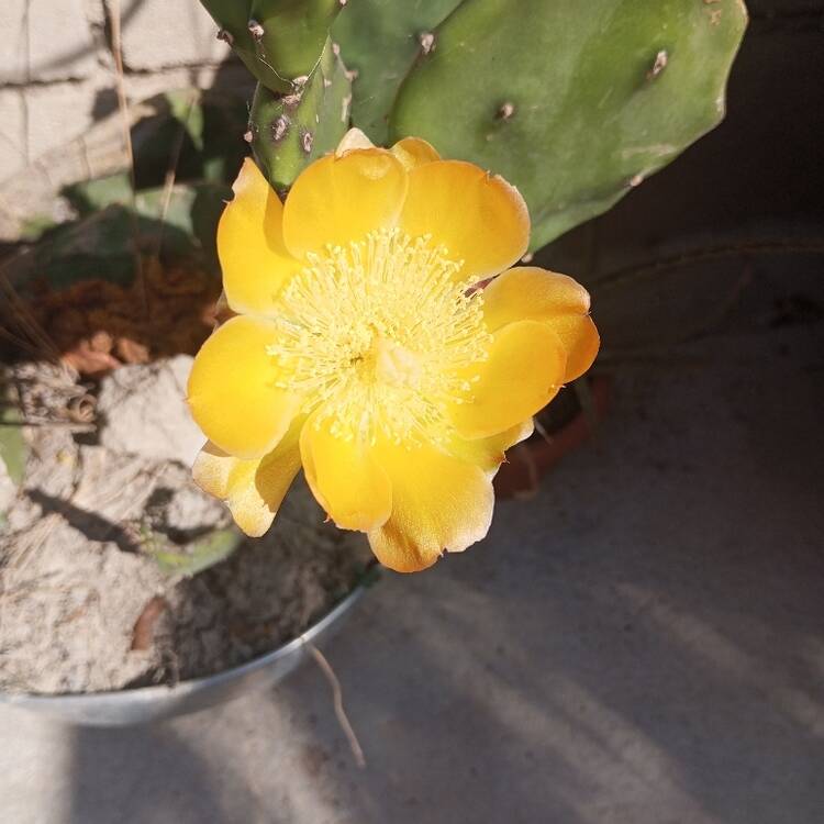 Foto de perfil de N