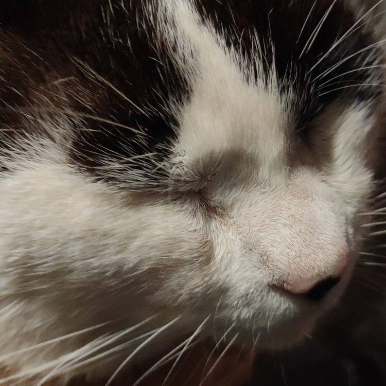 Foto de perfil de Maria