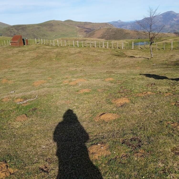 Foto de perfil
