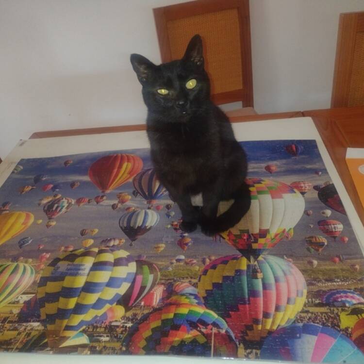 Foto de perfil