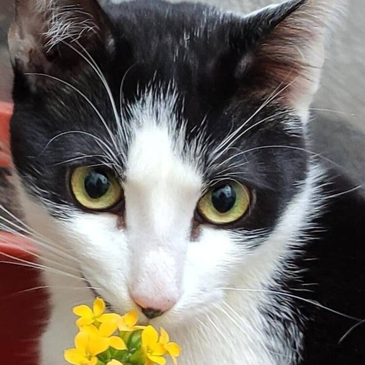 Foto de perfil de Mari Carmen
