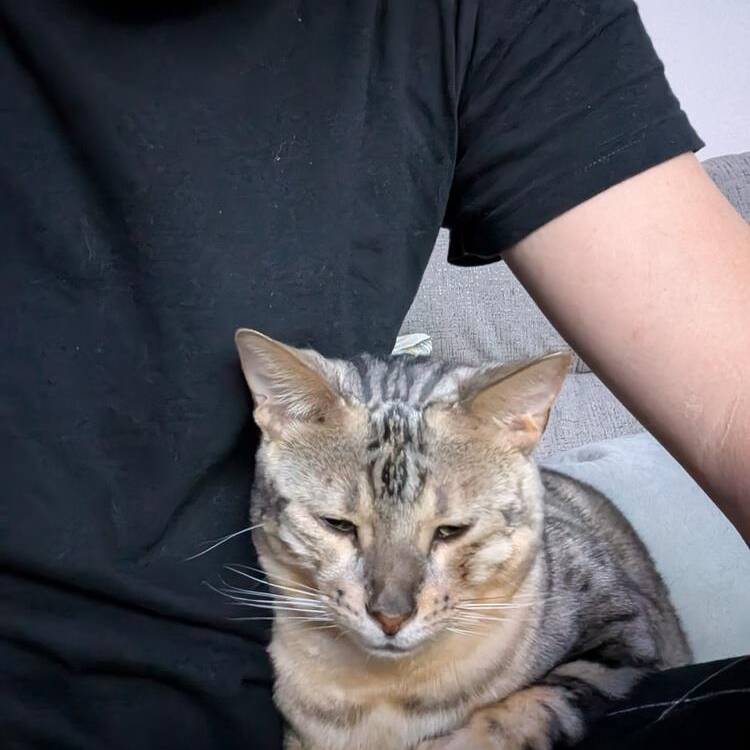 Foto de perfil
