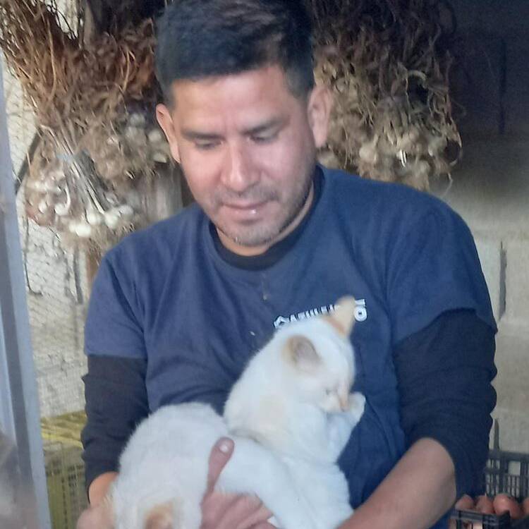 Foto de perfil