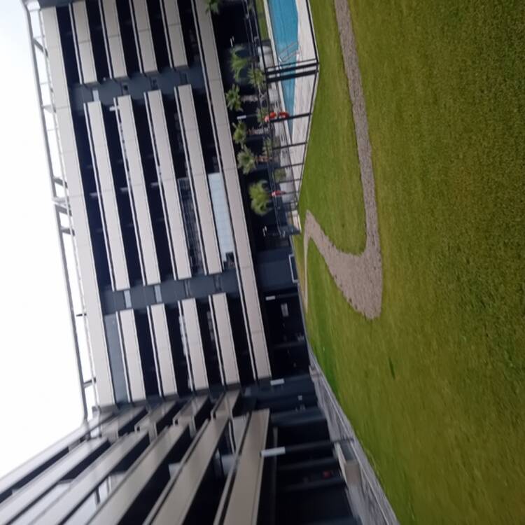 Foto de perfil de Matia