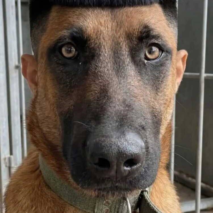 Foto de perfil de Sara