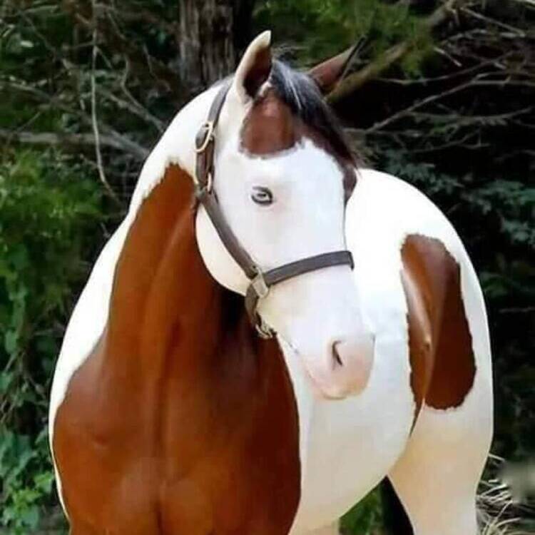 Foto de perfil de paul