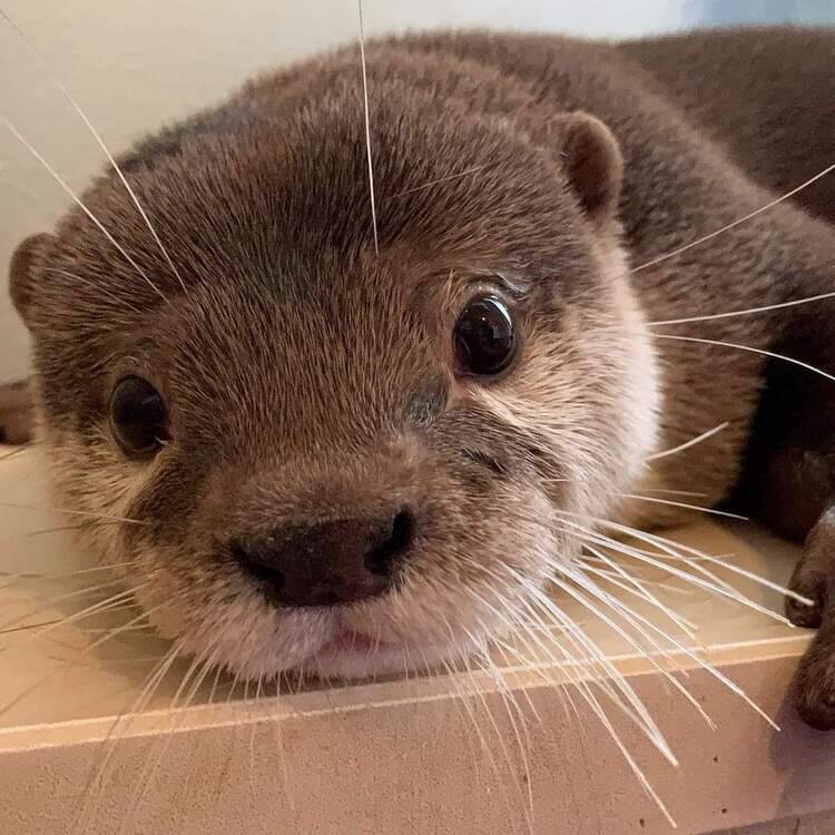 Foto de perfil de Carla