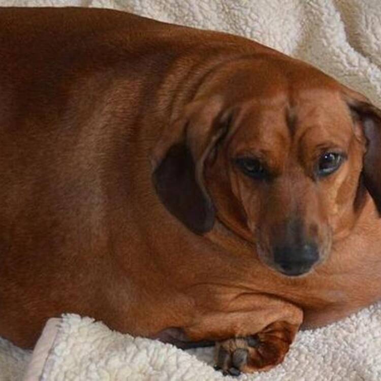 Foto de perfil de Juam