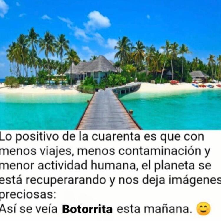 Foto de perfil de Cafe ole