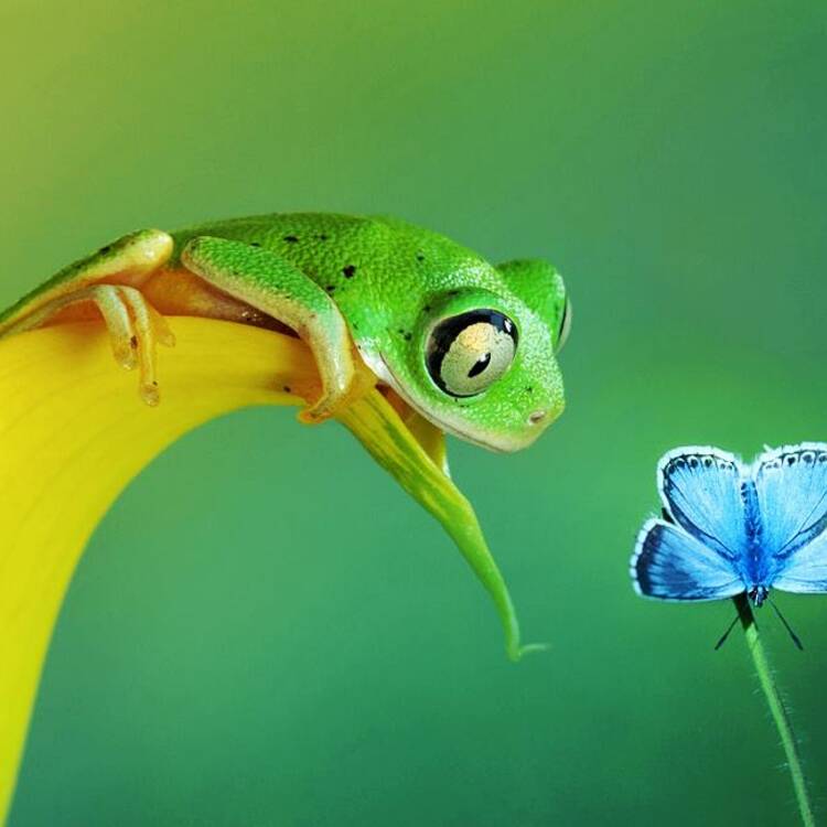 Foto de perfil de Carlos