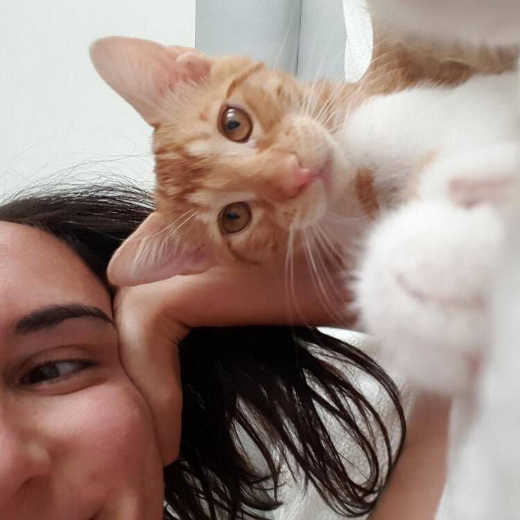 Foto de perfil