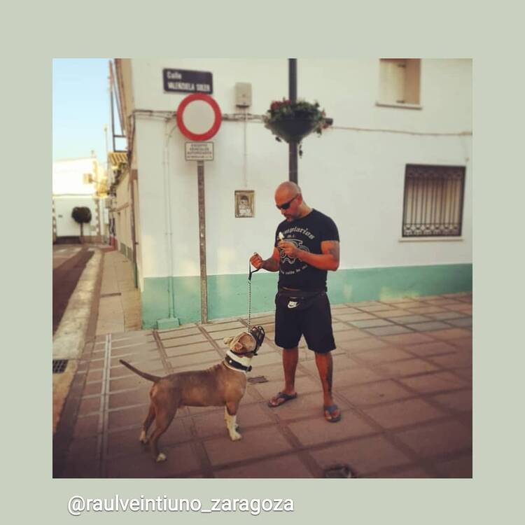 Foto de perfil