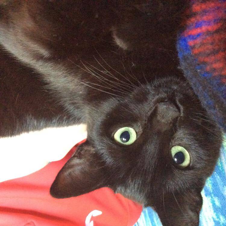 Foto de perfil de Mathilde