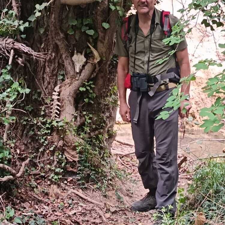 Foto de perfil