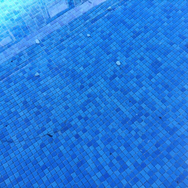 Foto de perfil de R50