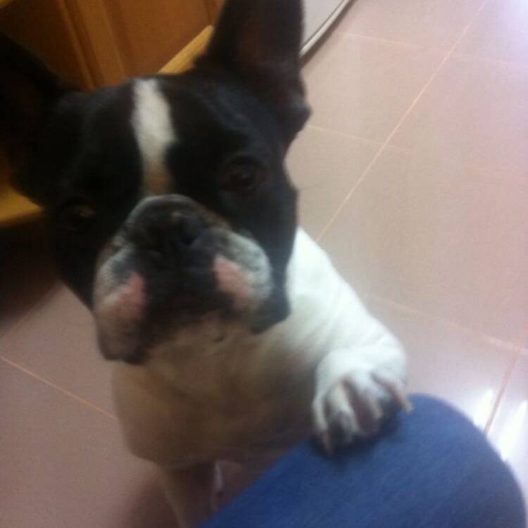 Foto de perfil