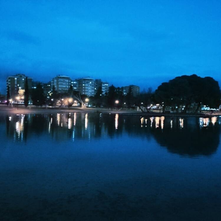 Foto de perfil de Laura