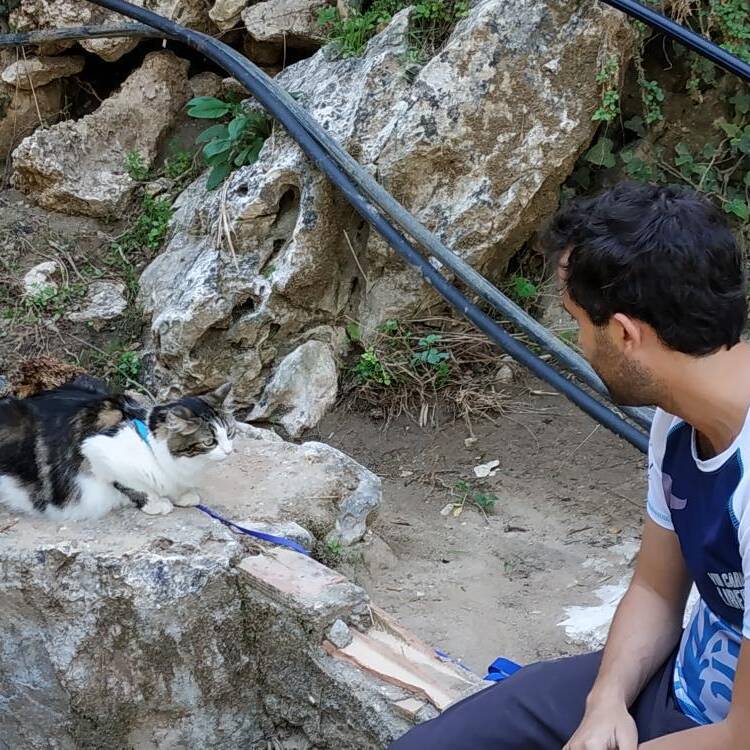 Foto de perfil
