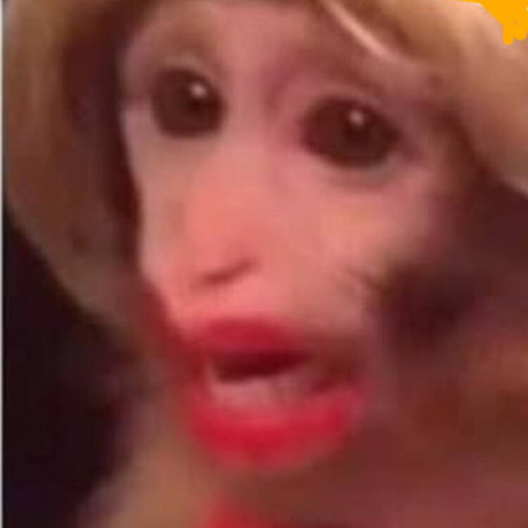 Foto de perfil de Maiteraleza