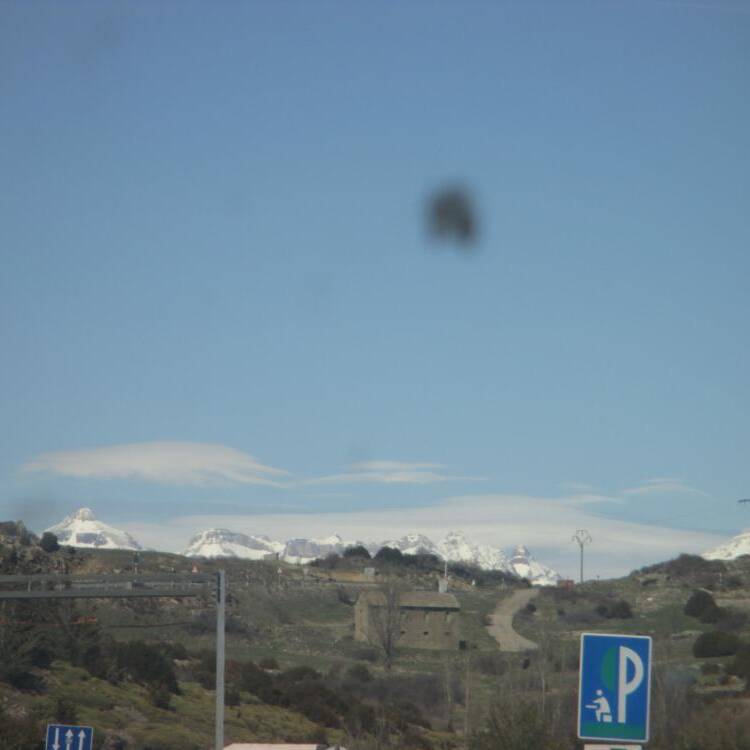 Foto de perfil de alejandro