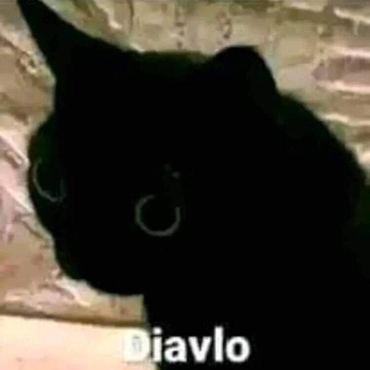 Foto de perfil de Raul