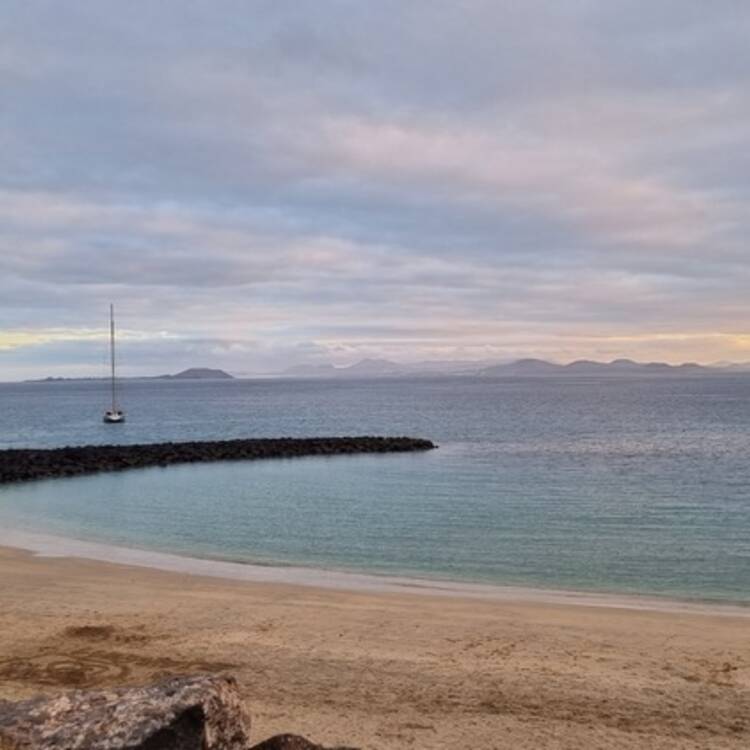 Foto de perfil de Yolanda