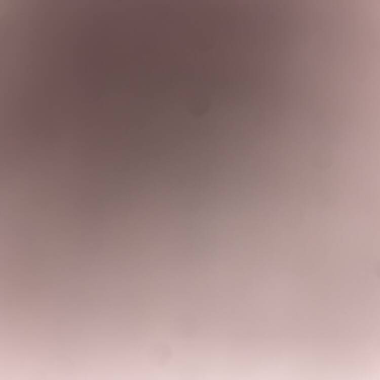 Foto de perfil de D