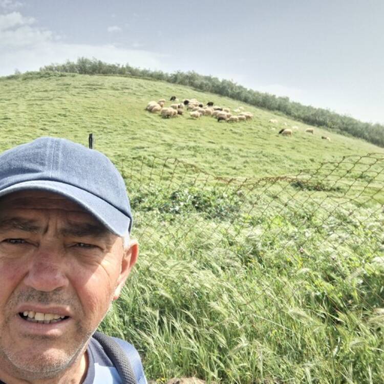 Foto de perfil de Carlos