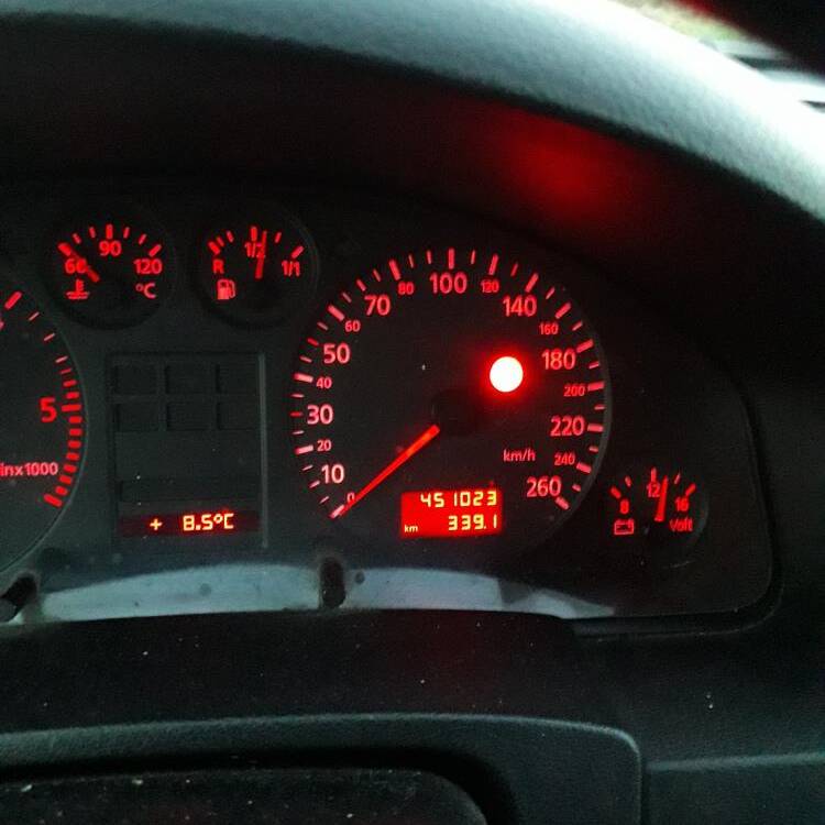 Foto de perfil de Perraco