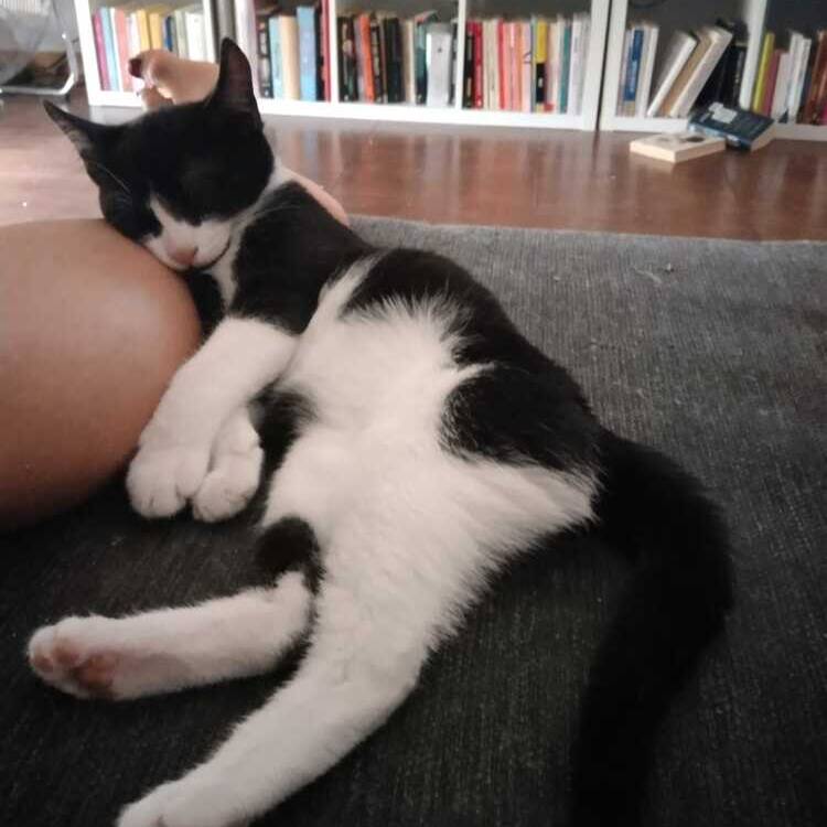 Foto de perfil
