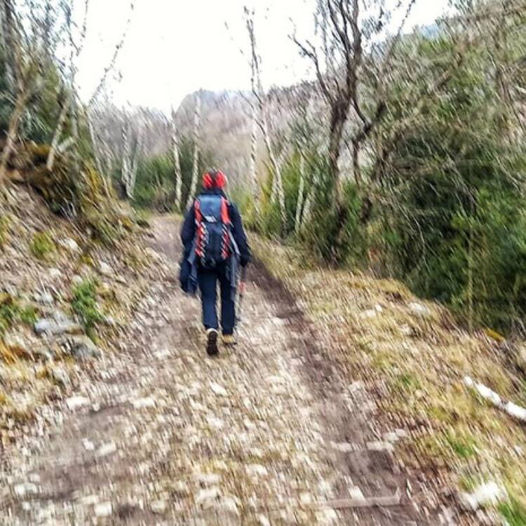 Foto de perfil