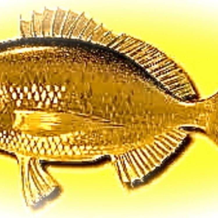 Foto de perfil de unadoradita 🐠