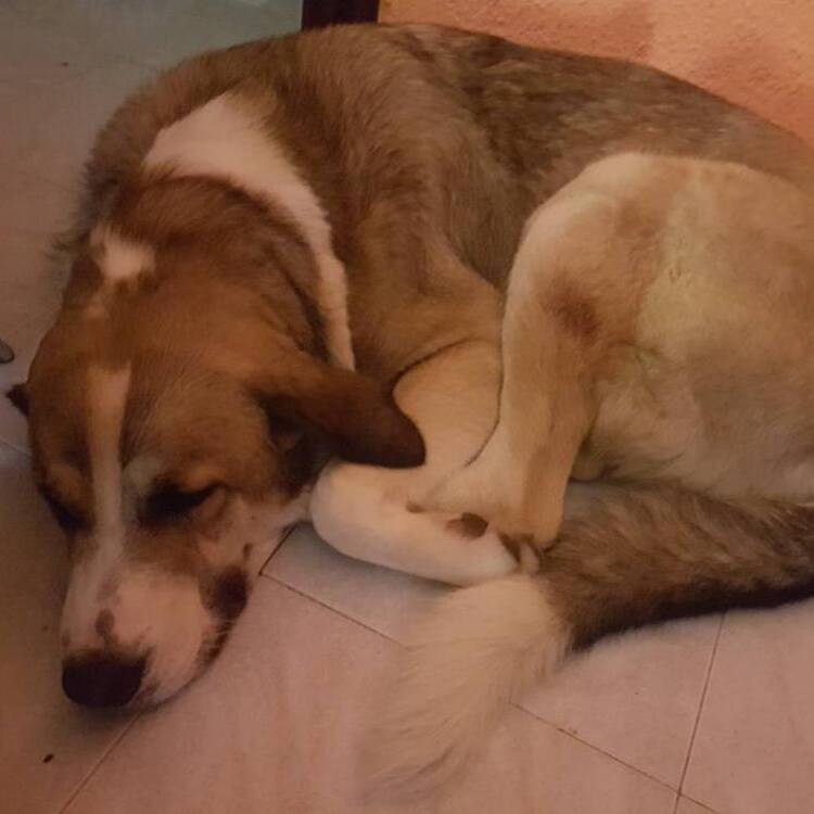 Foto de perfil de Saray