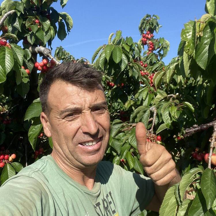 Foto de perfil