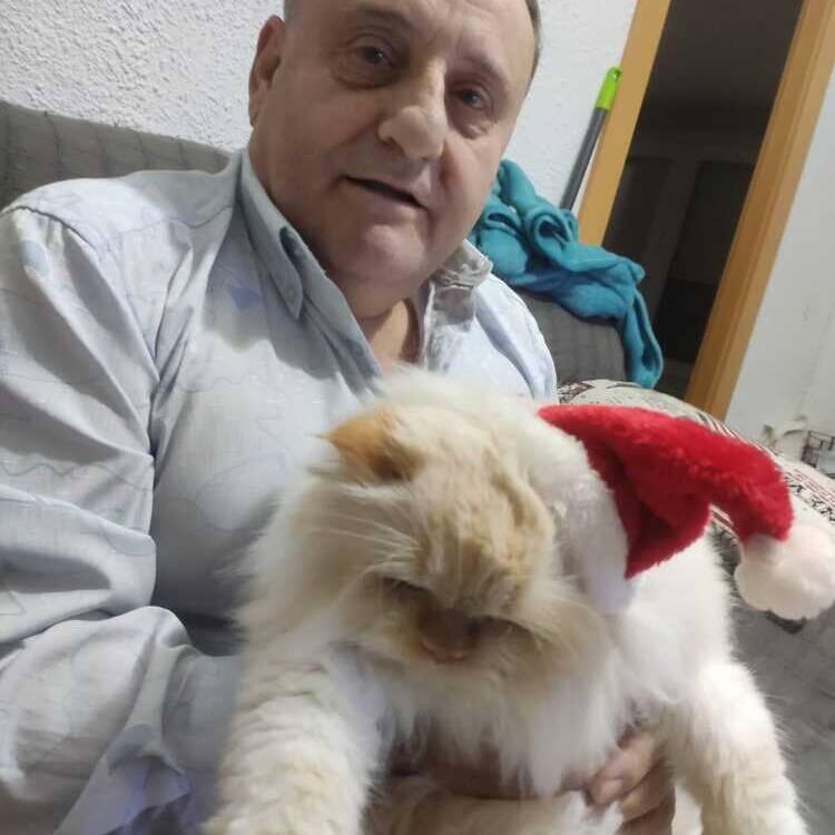 Foto de perfil de Javier