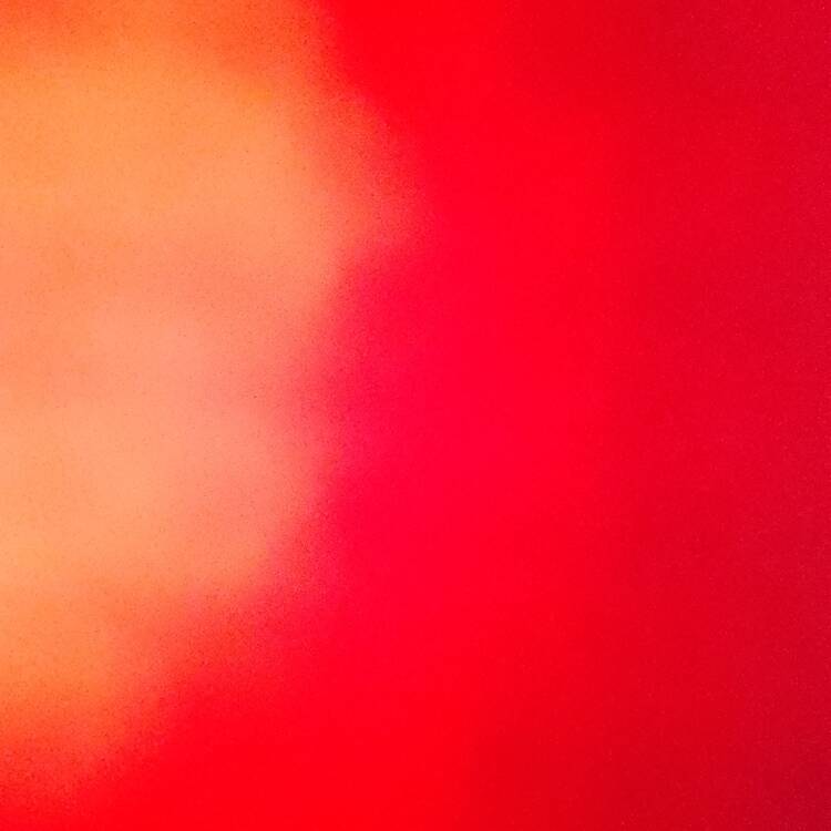 Foto de perfil de Carmen