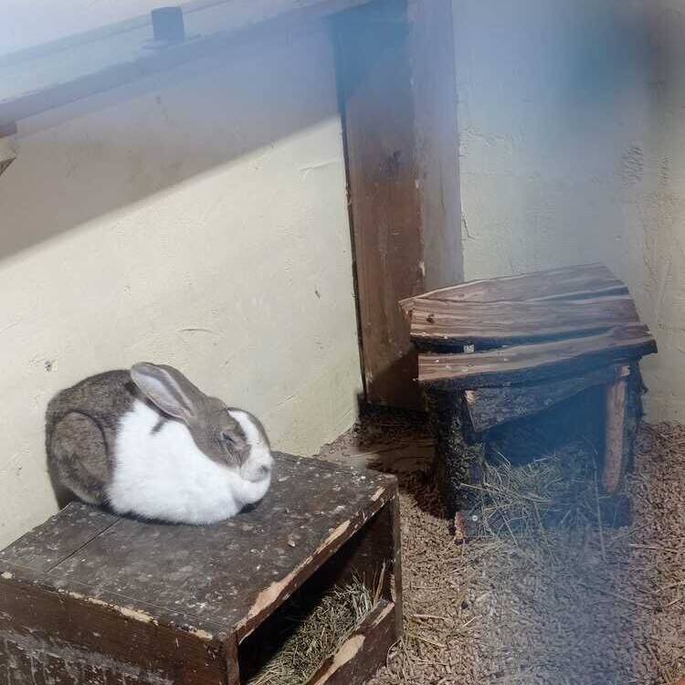 Foto de perfil de Sergio