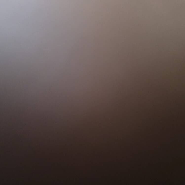 Foto de perfil de Daanny