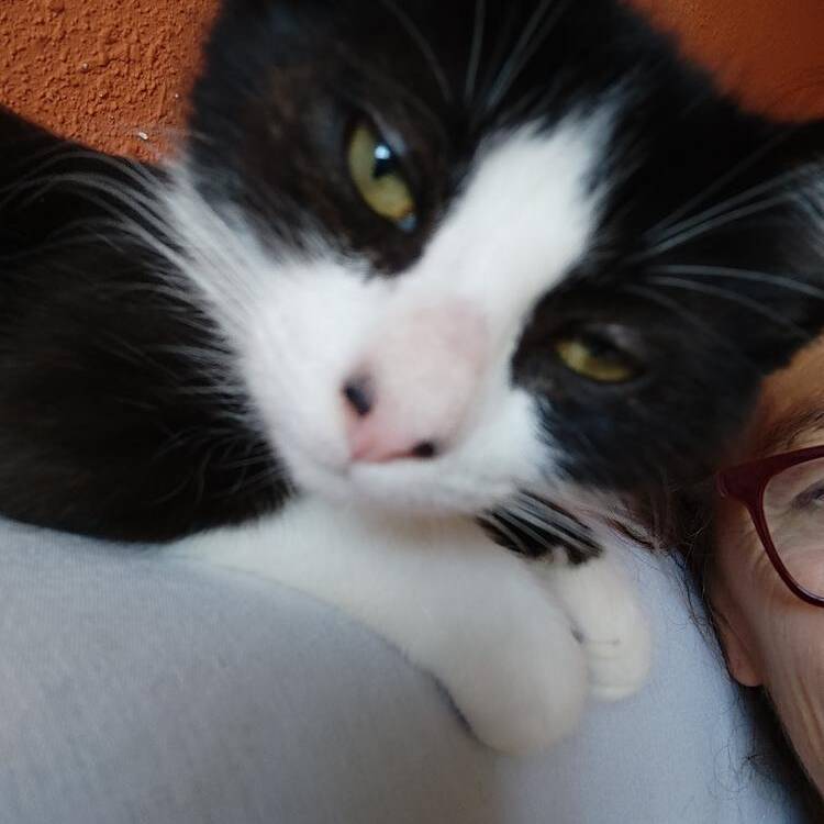 Foto de perfil