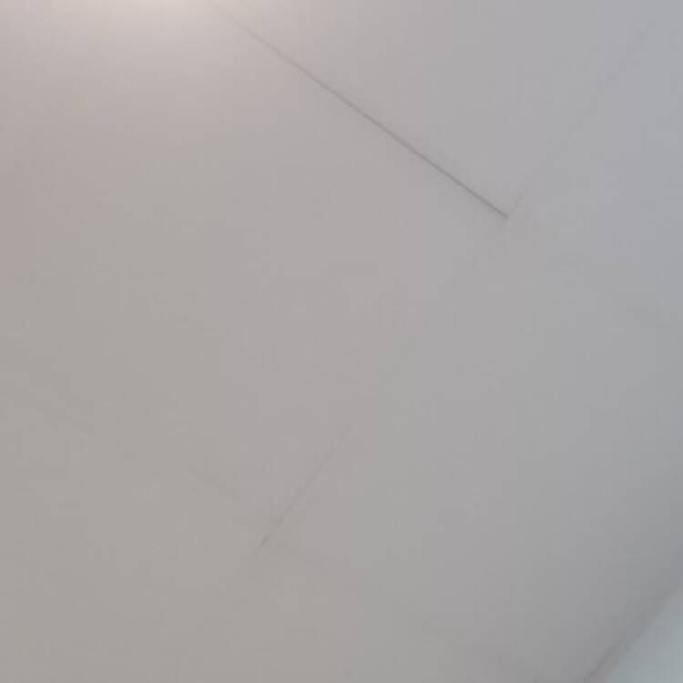 Foto de perfil de Dana