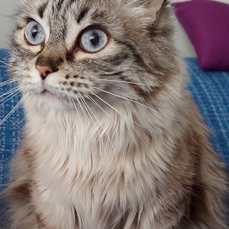Foto de perfil de Carmen
